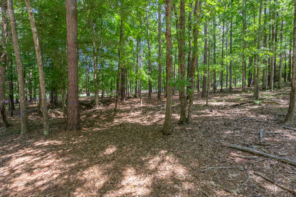 2721 Parrott's Pointe Road image 5
